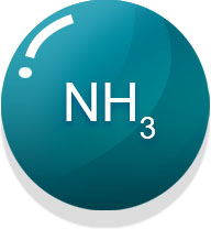 氨
